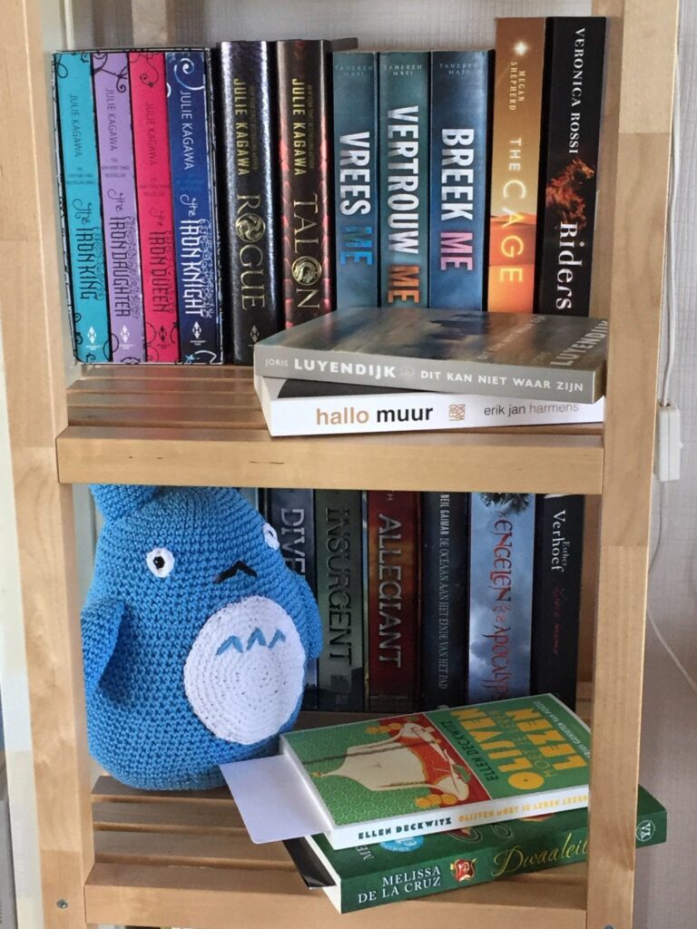 Welk boek komt op de vakantieleeslijst? Welke serie ga ik binge-readen?