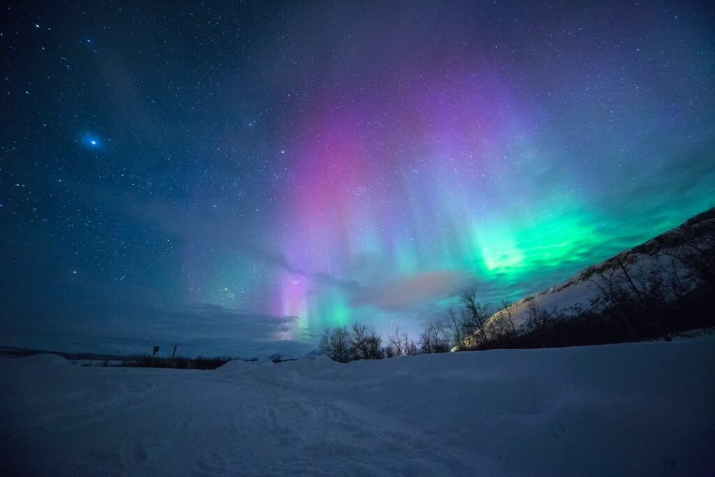 boreaal, de aurora borealis betekent noorderlicht