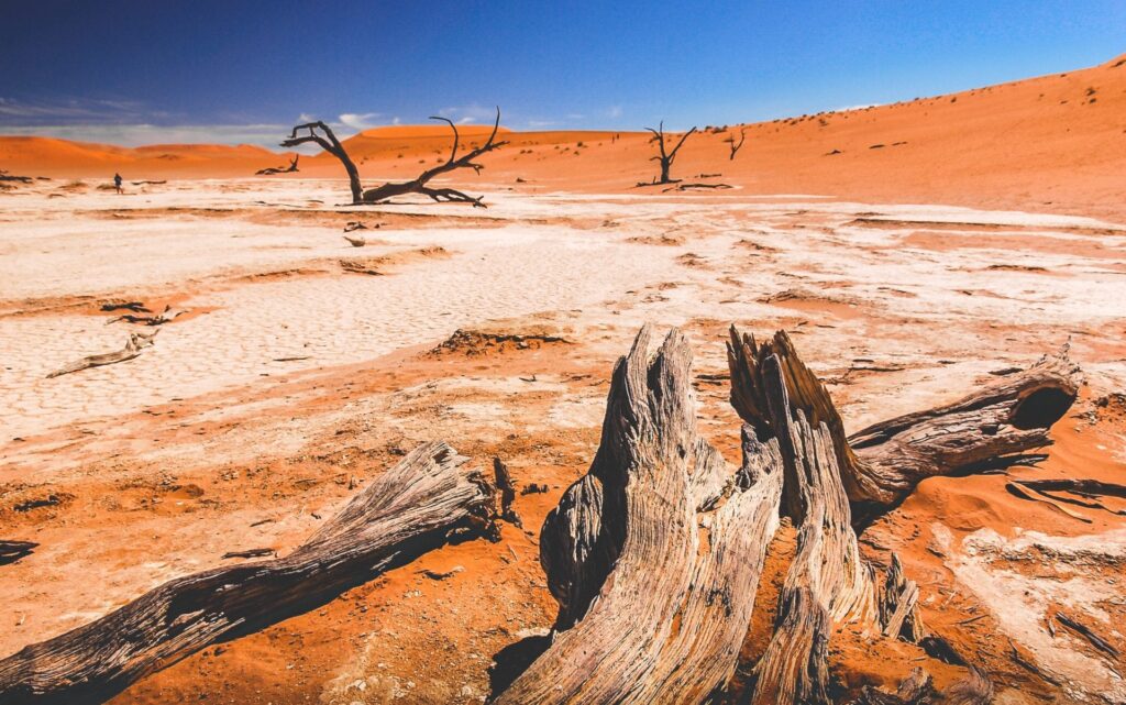 Schaarste in de woestijn is afwezigheid van water