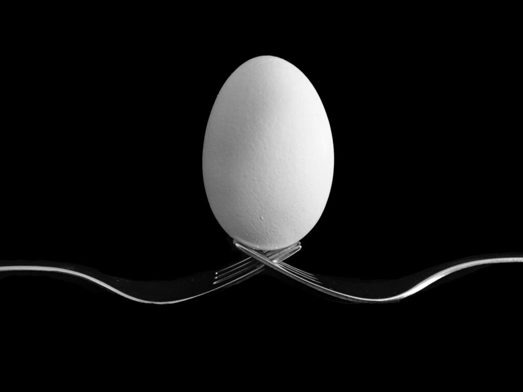 michel-boule-JYzY9Ogo7BA-unsplash Een ei balancerend op twee vorken